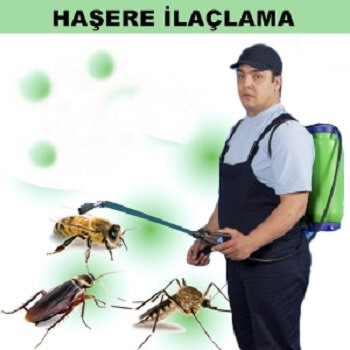 Banaz Böcek İlaçlama
